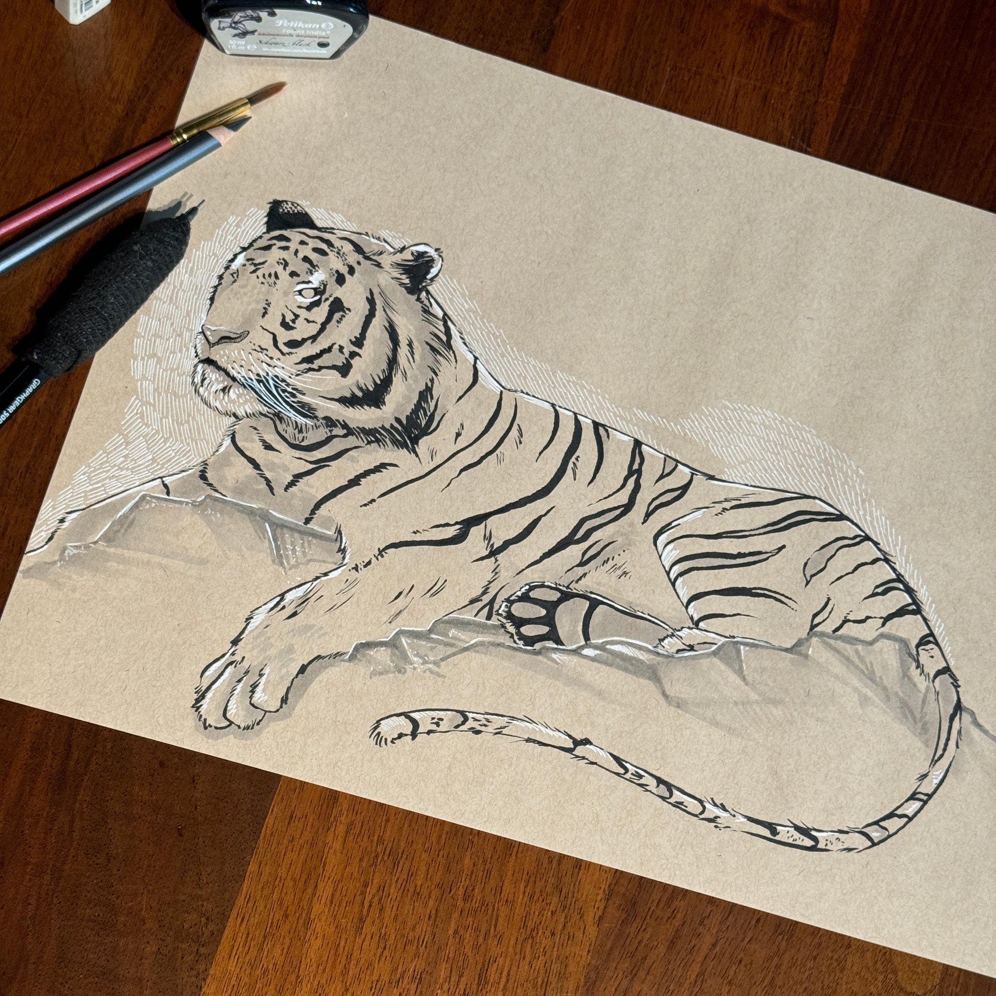 Tiger Study