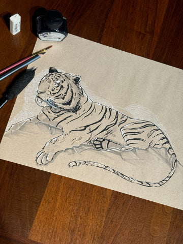 Tiger Study