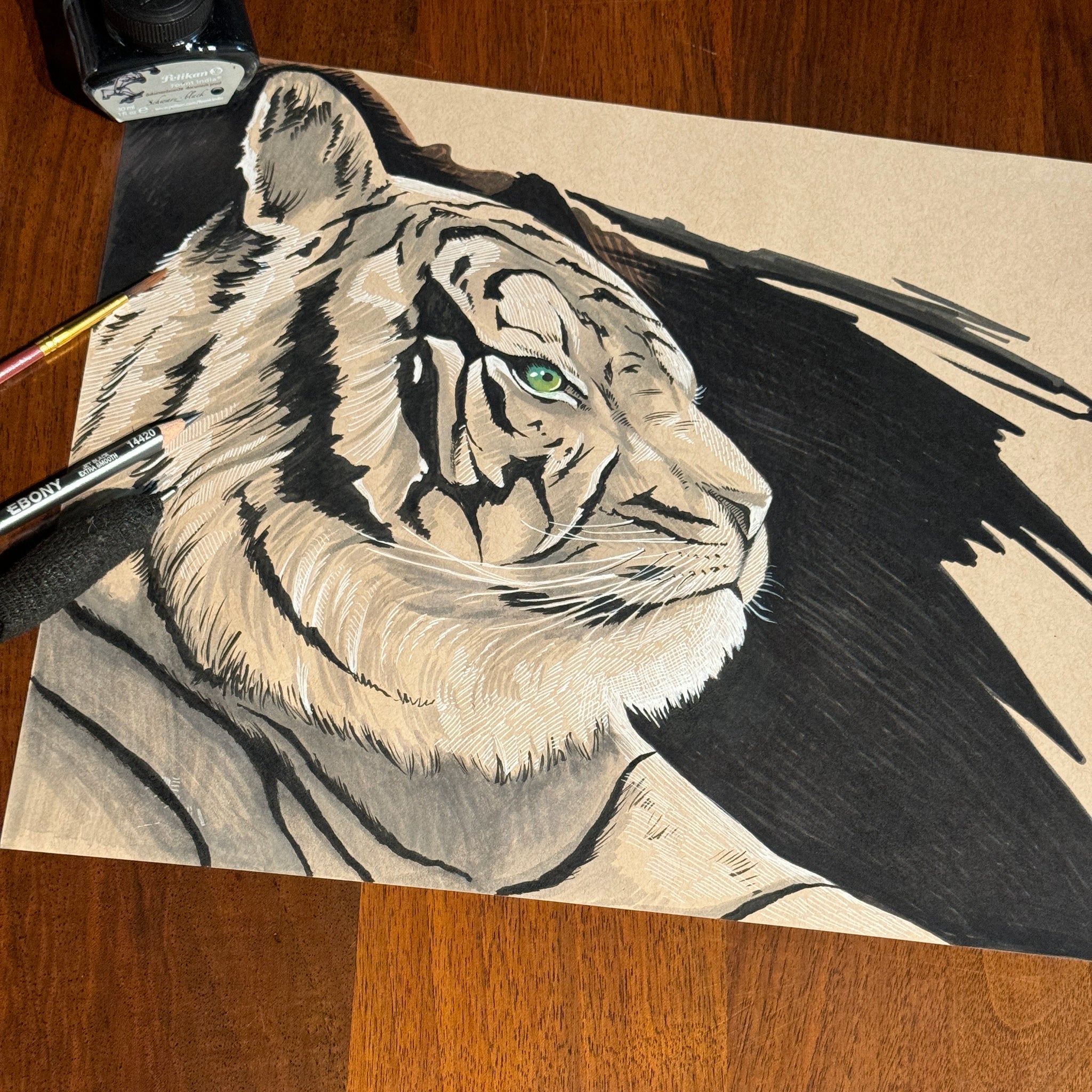 Tiger Study